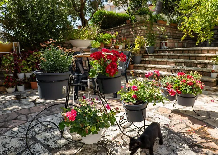 Villa Green Garden