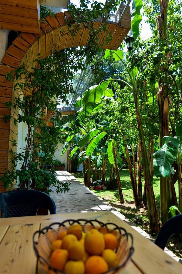 Garden Sarandë