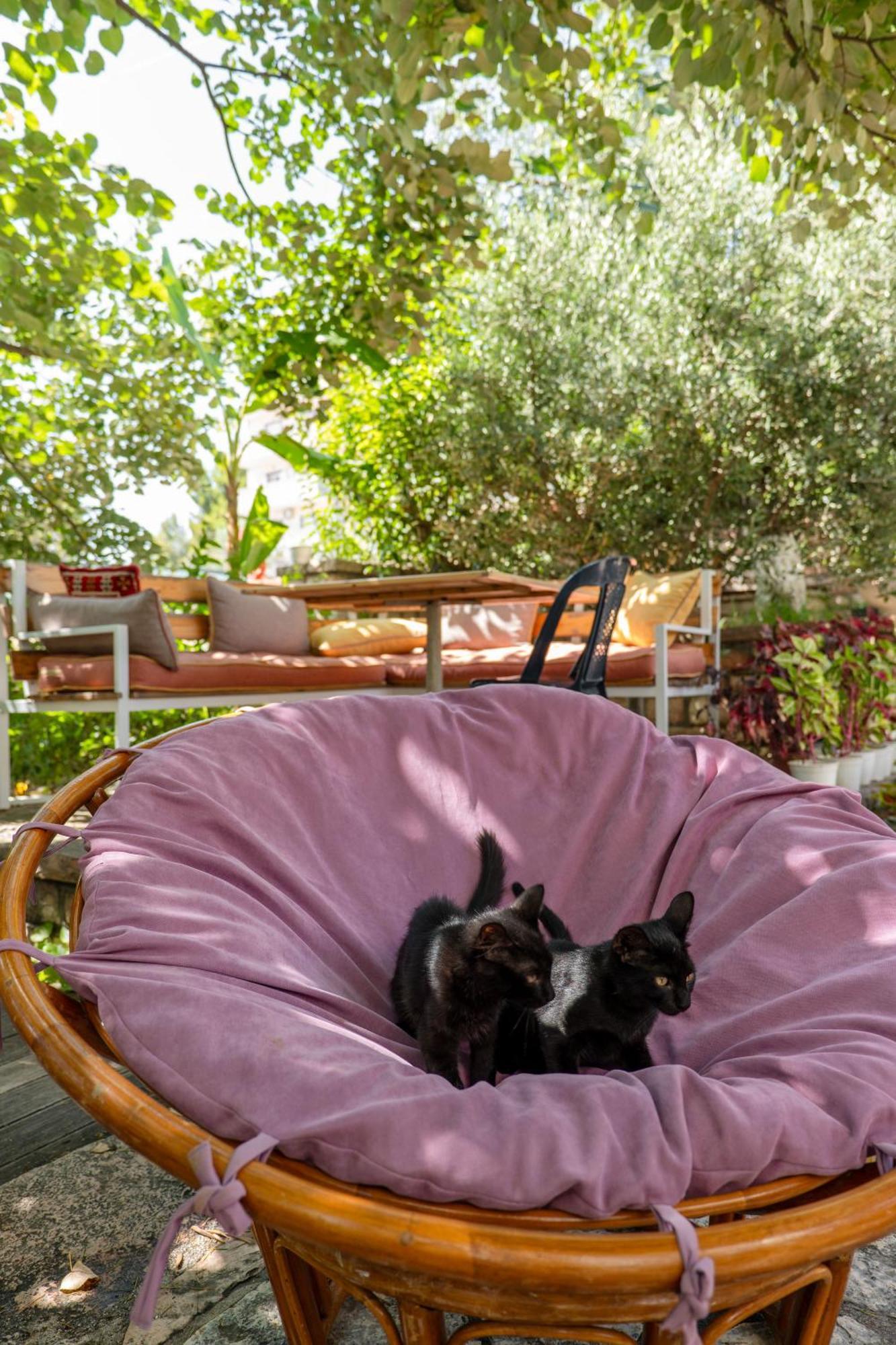 Garden Hotel