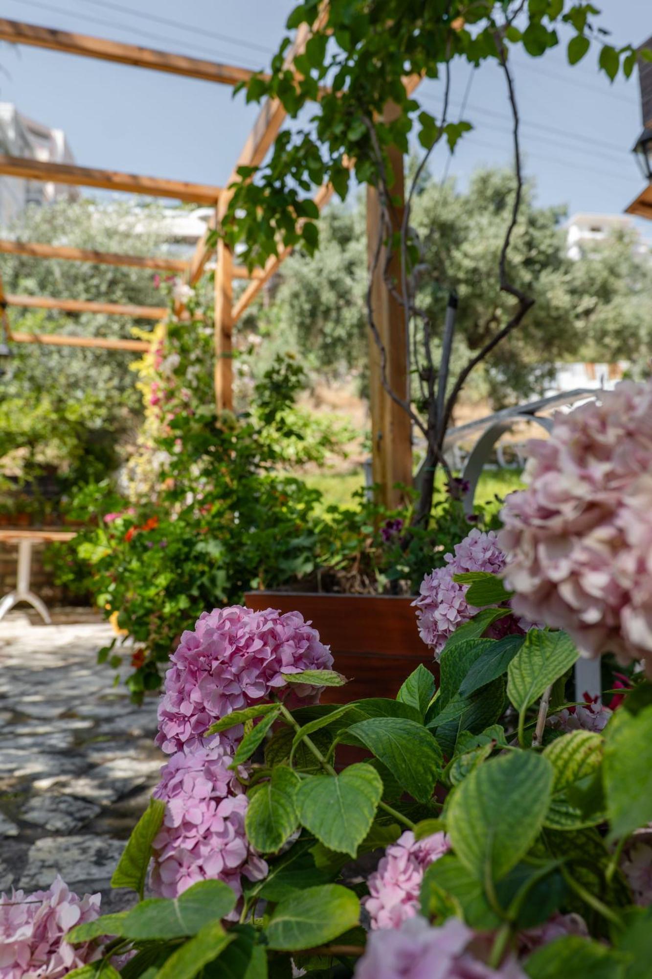 Garden Sarandë